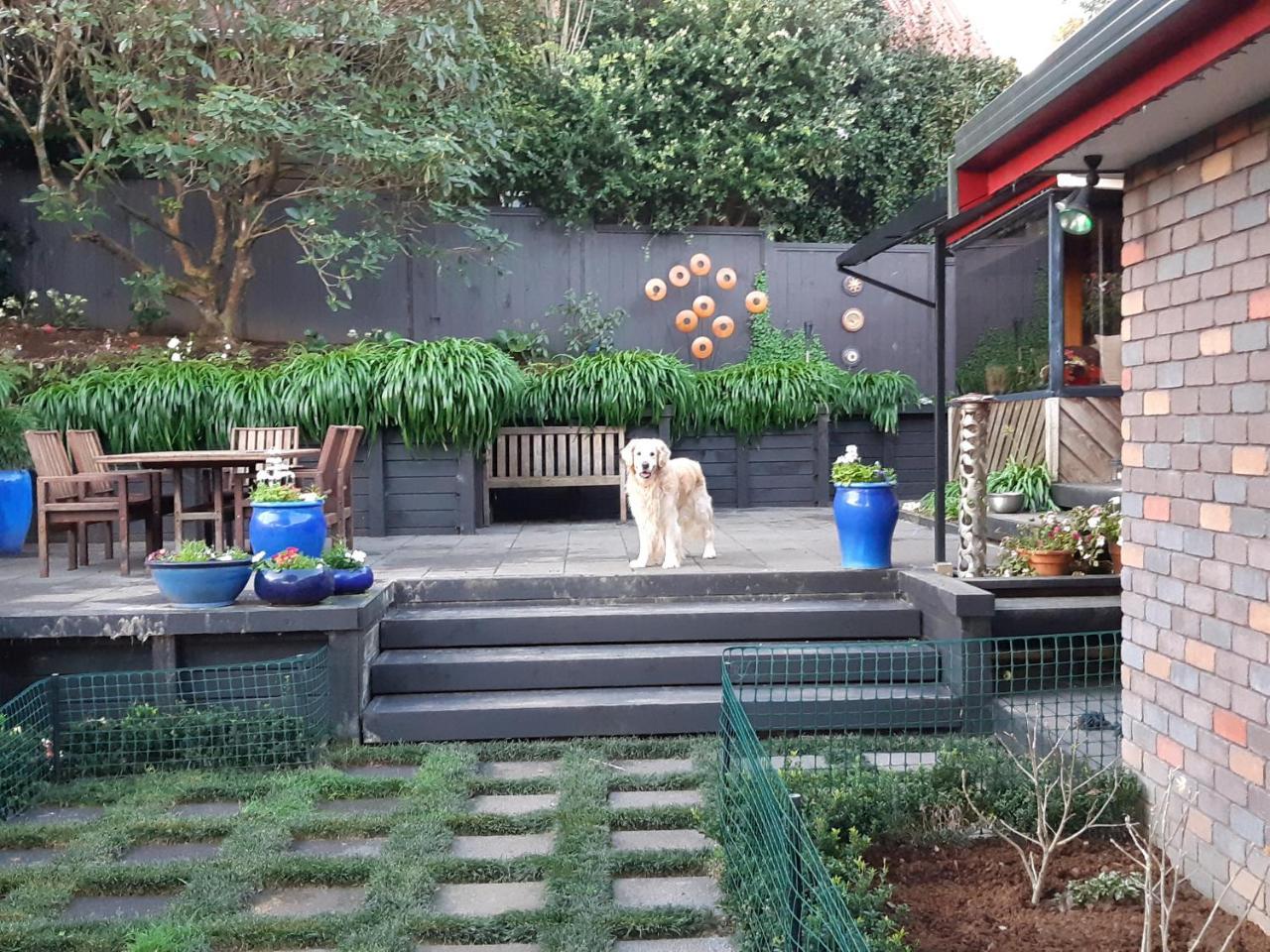 Bed and Breakfast Sequoia Steps New Plymouth Exterior foto