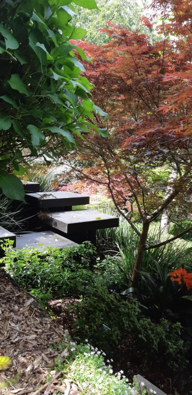Bed and Breakfast Sequoia Steps New Plymouth Exterior foto