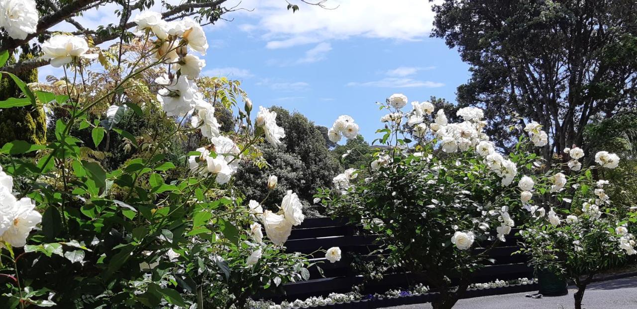 Bed and Breakfast Sequoia Steps New Plymouth Exterior foto